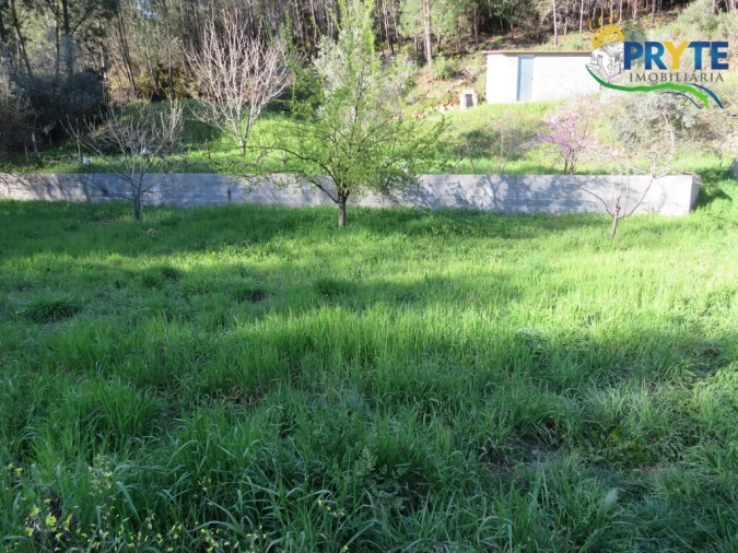 Terreno para Venda em Varzea dos Cavaleiros Foto 2