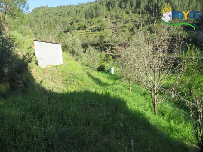Terreno para Venda em Varzea dos Cavaleiros Foto 4