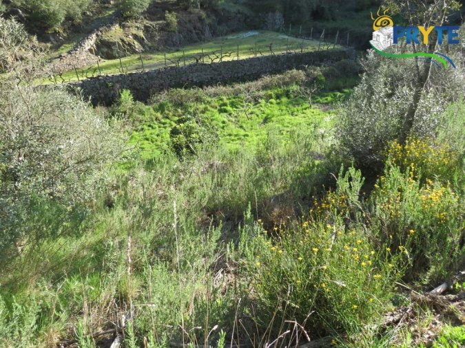 Terreno para Venda em Varzea dos Cavaleiros Foto 8