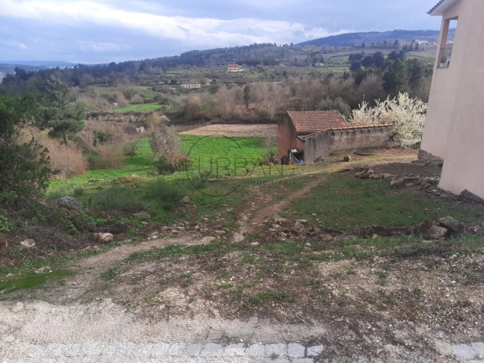 Terreno para Venda em Moimenta da Beira Foto 1