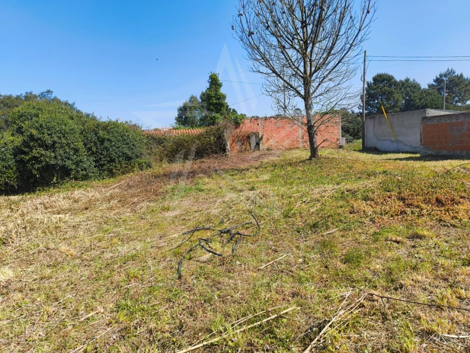Terreno para Venda em Nadadouro Foto 3