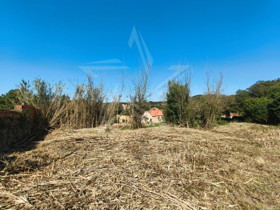Terreno para Venda em Nadadouro Foto 7