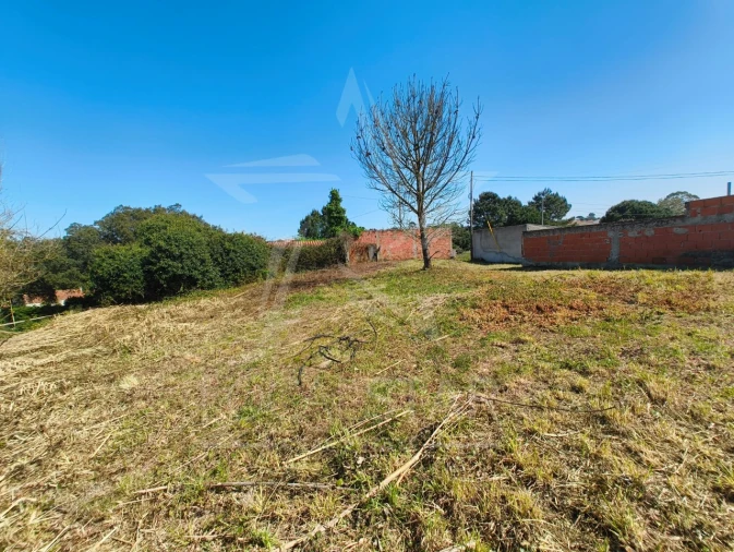 Terreno para Venda em Nadadouro Foto 8