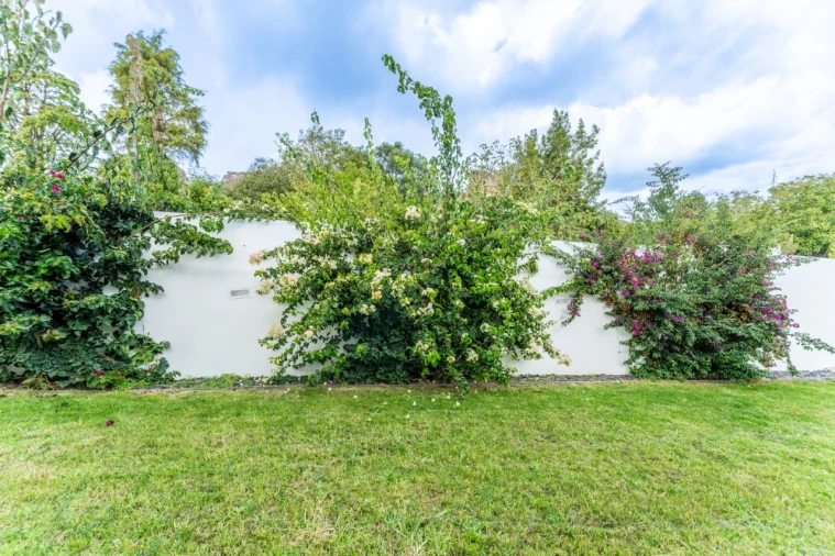 Moradia T5 para Venda em Alcobaça e Vestiaria Foto 56