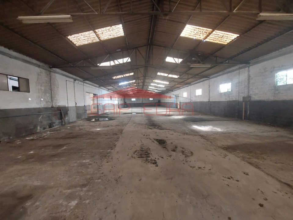 Armazém para Venda em Mangualde, Mesquitela e Cunha Alta Foto 28