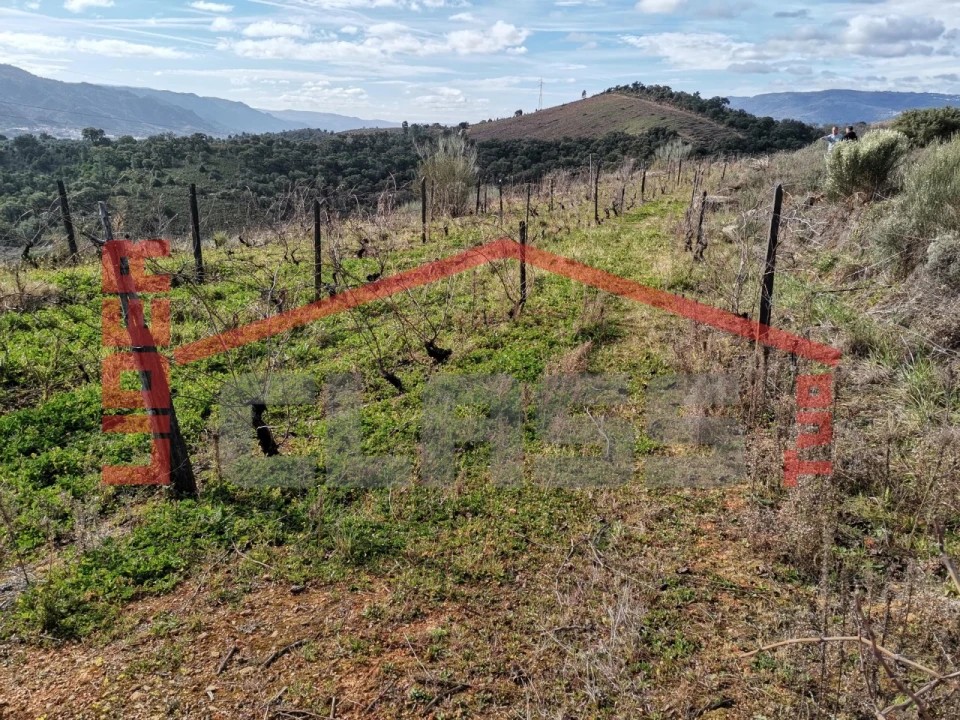 Terreno para Venda em Sampaio Foto 7