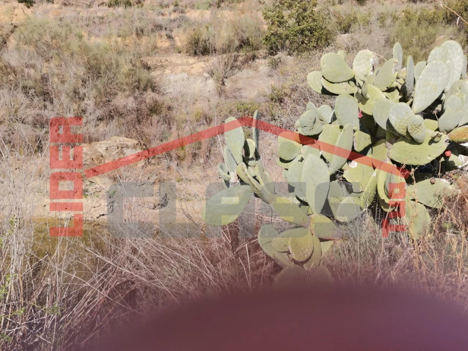 Terreno para Venda em Sampaio Foto 14