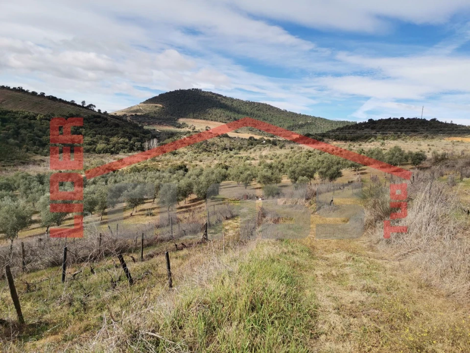 Terreno para Venda em Sampaio Foto 19