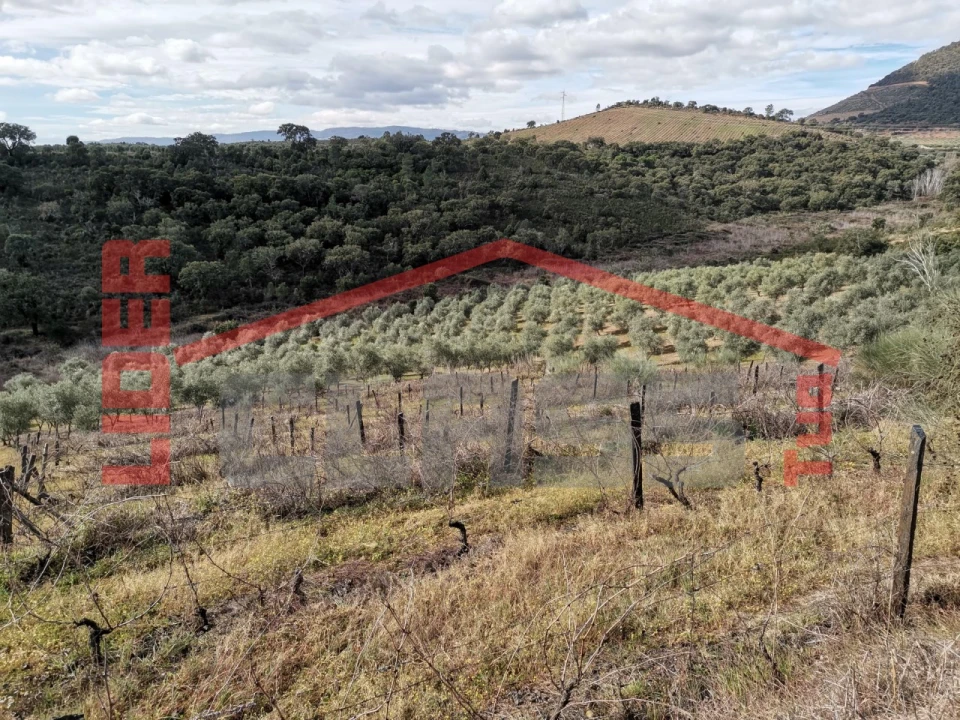 Terreno para Venda em Sampaio Foto 20