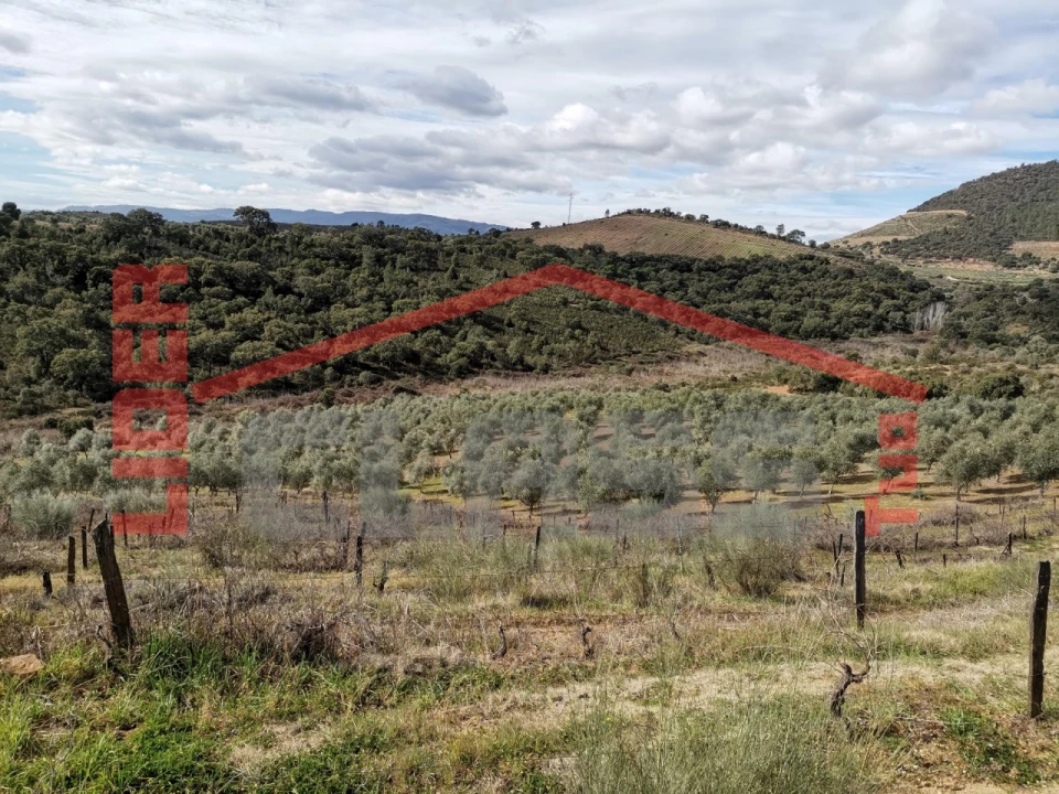 Terreno para Venda em Sampaio Foto 22