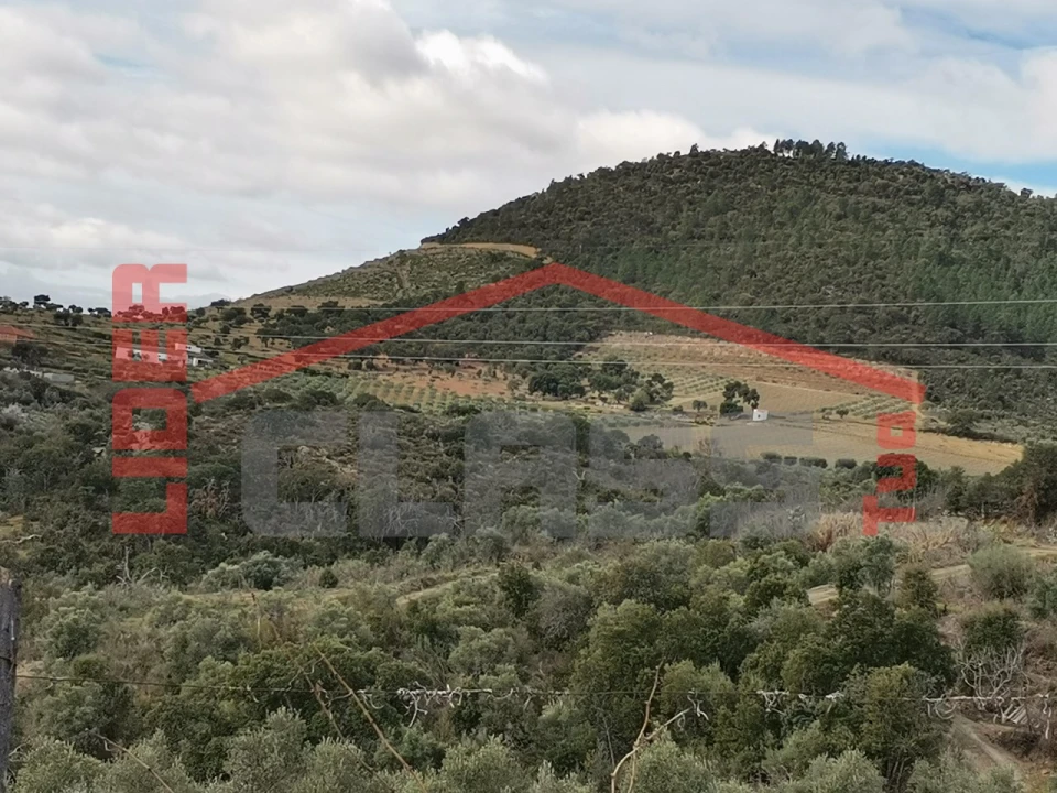 Terreno para Venda em Sampaio Foto 23