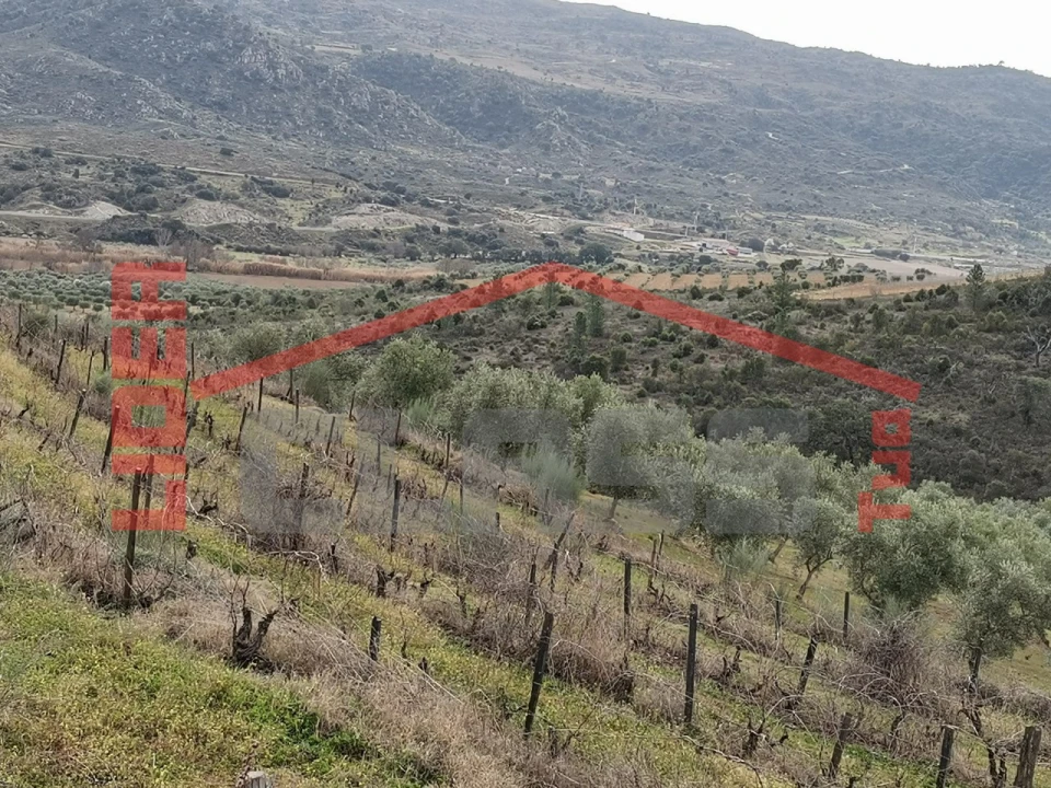 Terreno para Venda em Sampaio Foto 4