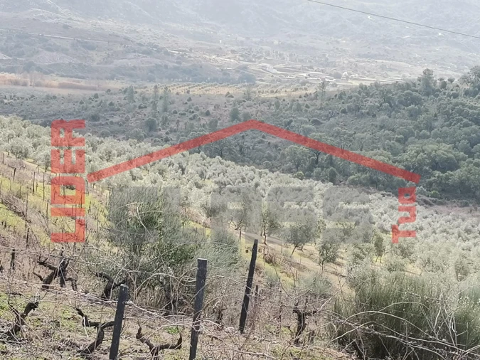 Terreno para Venda em Sampaio Foto 9