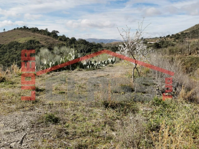 Terreno para Venda em Sampaio Foto 12