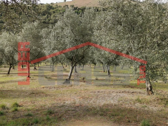 Terreno para Venda em Sampaio Foto 1