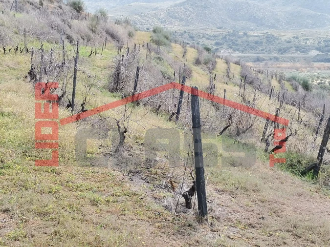 Terreno para Venda em Sampaio Foto 25