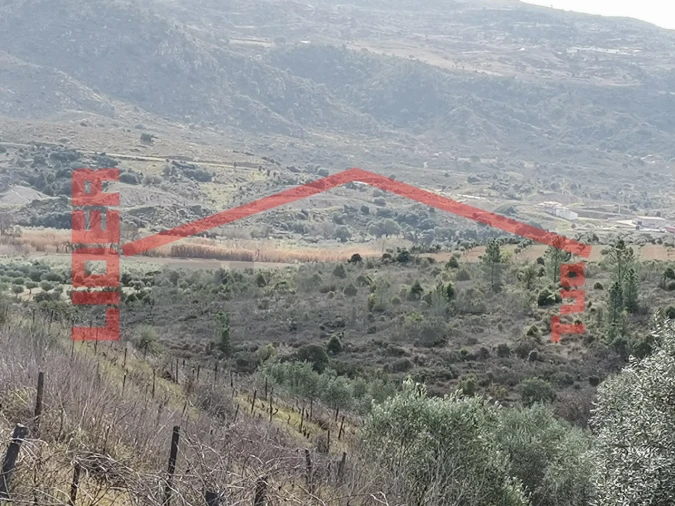 Terreno para Venda em Sampaio Foto 26