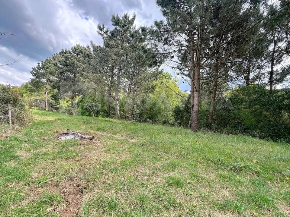 Terreno para Venda em Seixas Foto 7