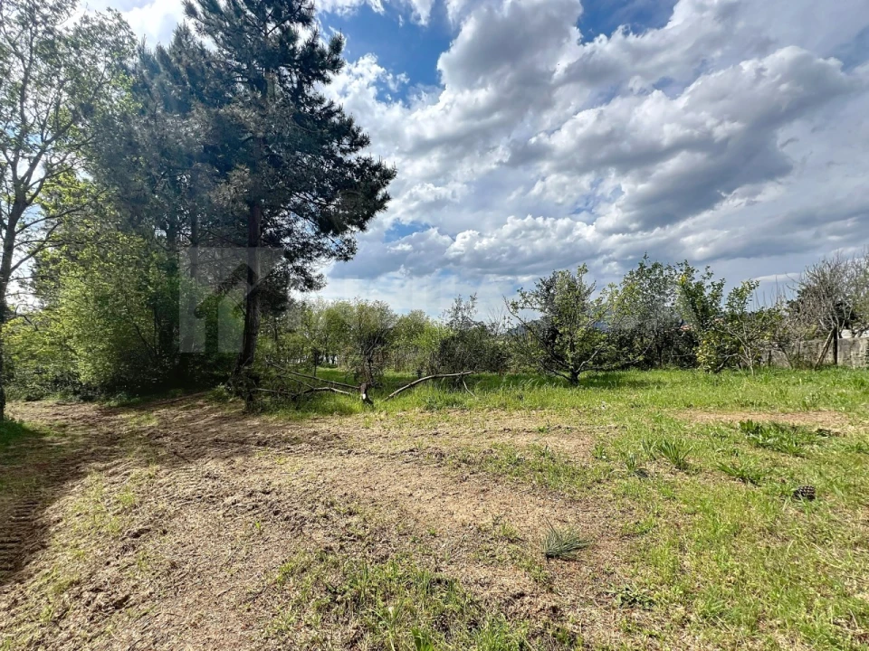 Terreno para Venda em Seixas Foto 10