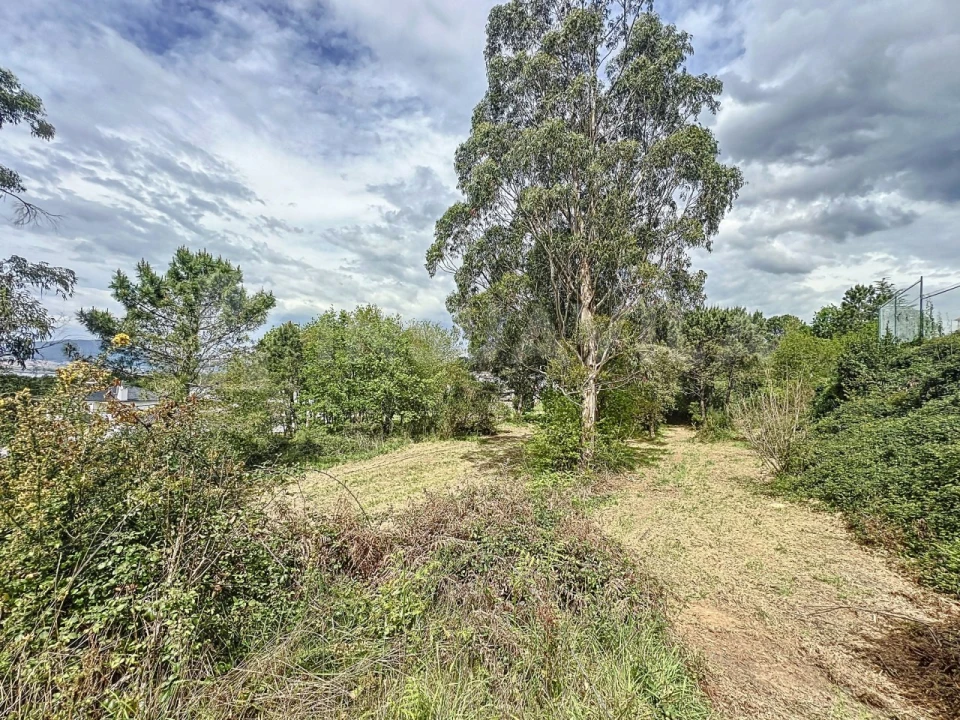 Terreno para Venda em Seixas Foto 11