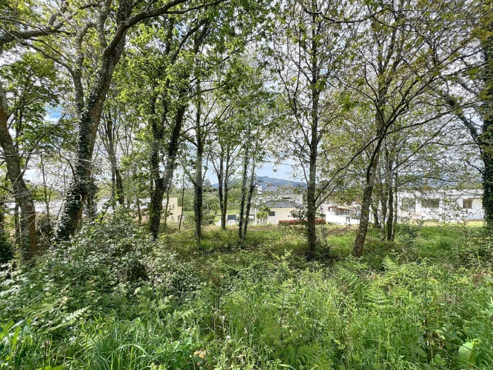 Terreno para Venda em Seixas Foto 14