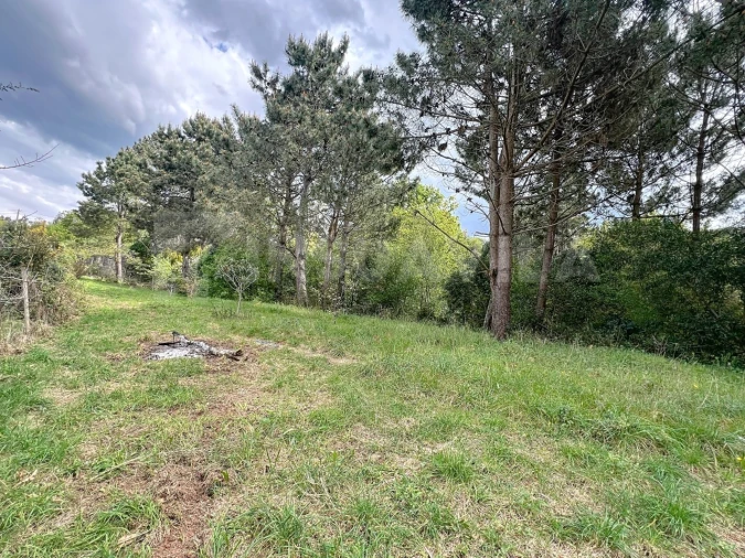 Terreno para Venda em Seixas Foto 7