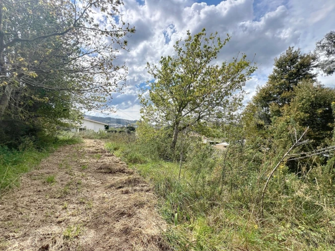Terreno para Venda em Seixas Foto 13