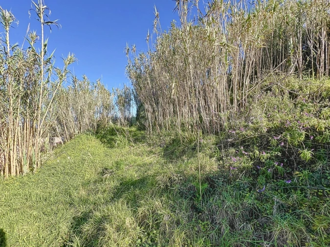 Terreno para Venda em Seixas Foto 5