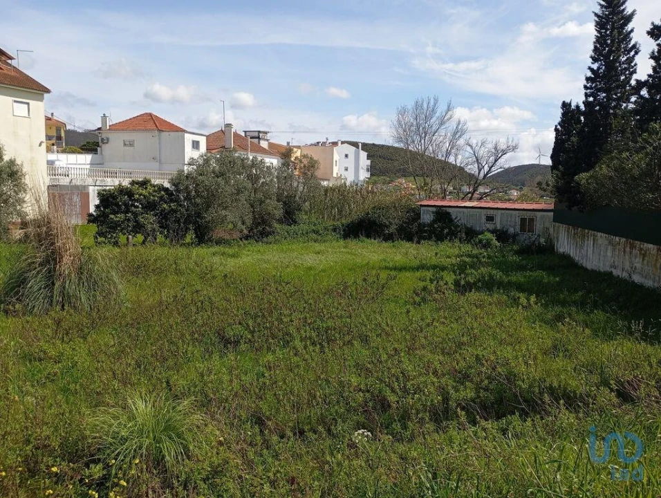 Terreno para Venda em Igreja Nova e Cheleiros Foto 6