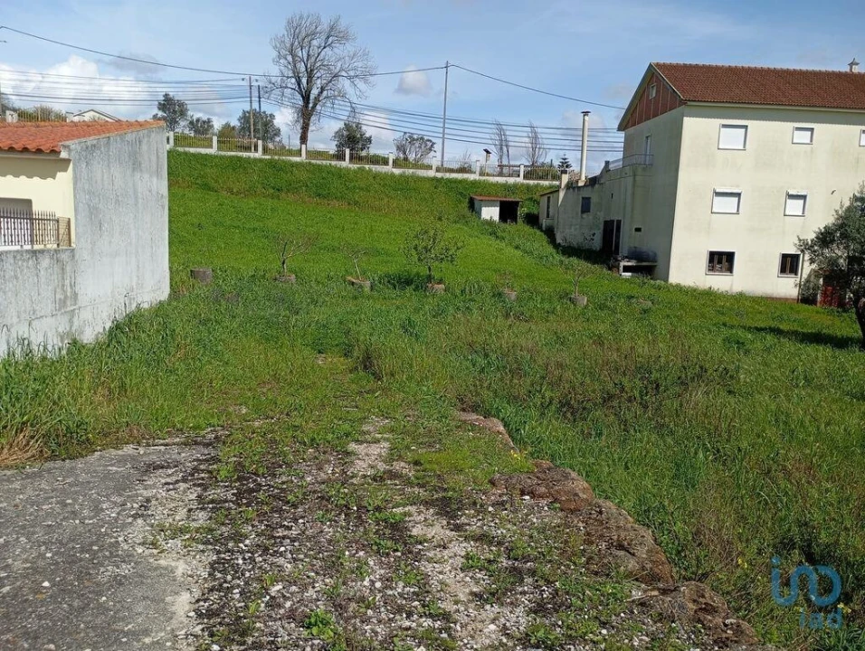 Terreno para Venda em Igreja Nova e Cheleiros Foto 5