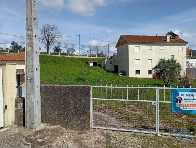 Terreno para Venda em Igreja Nova e Cheleiros Foto 7