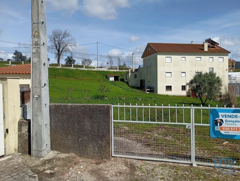 Terreno para Venda em Igreja Nova e Cheleiros Foto 7
