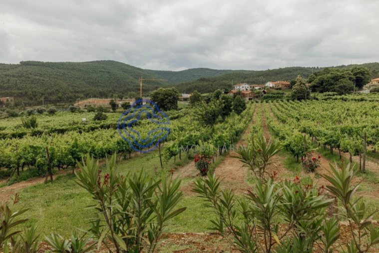 Moradia T5 para Venda em Real Foto 19