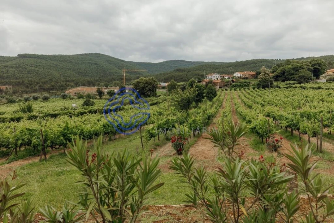 Moradia T5 para Venda em Real Foto 19