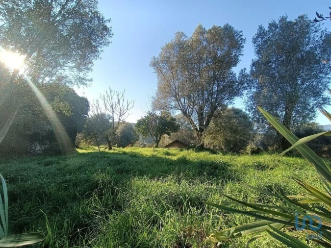 Moradia para Venda em Eiras e Mei Foto 7