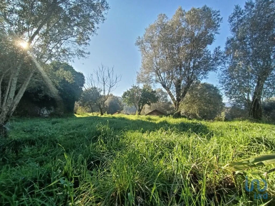 Moradia para Venda em Eiras e Mei Foto 6