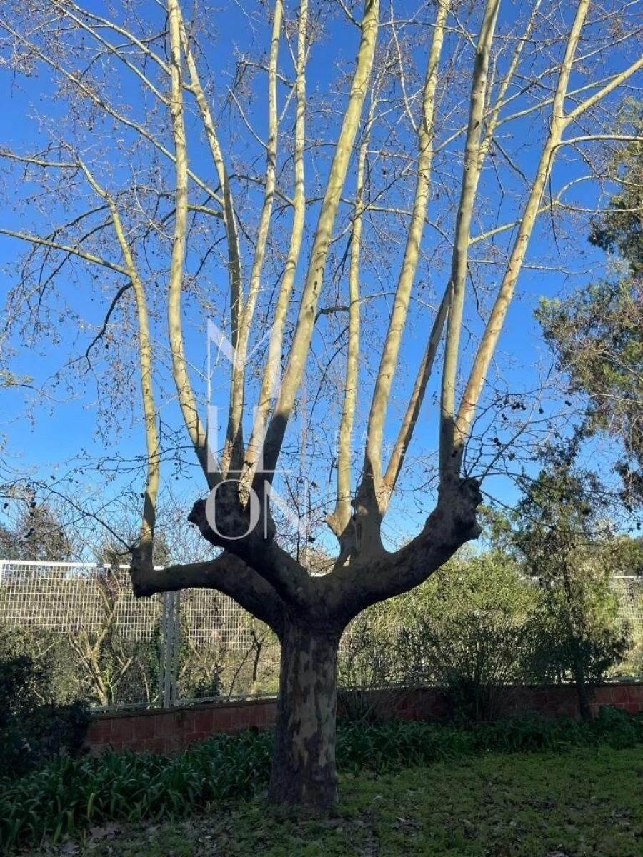 Quinta T5 para Venda em Camarate, Unhos e Apelação Foto 2