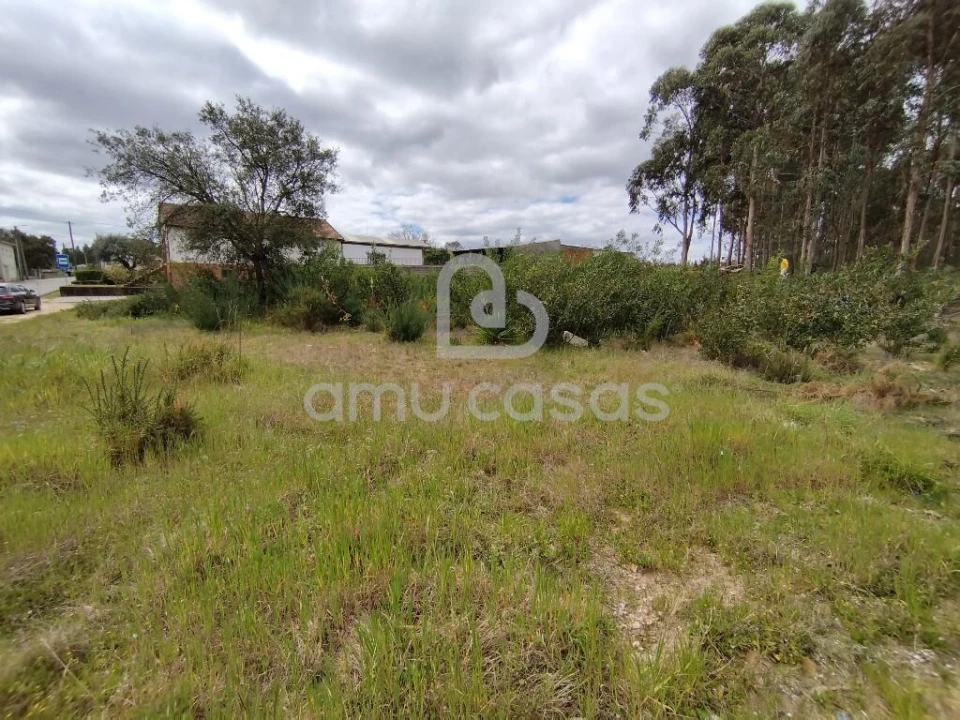 Terreno para Venda em Oliveira do Bairro Foto 5