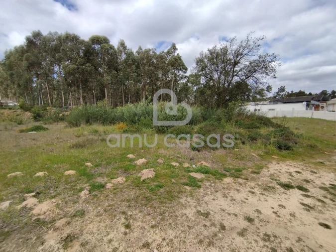 Terreno para Venda em Oliveira do Bairro Foto 7