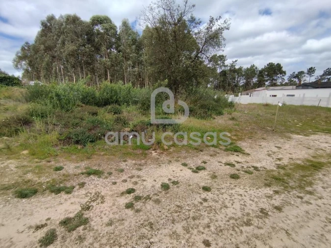 Terreno para Venda em Oliveira do Bairro Foto 4
