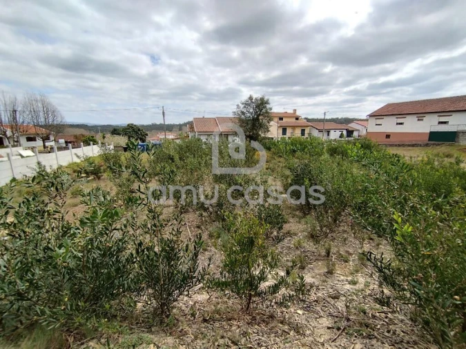 Terreno para Venda em Oliveira do Bairro Foto 6