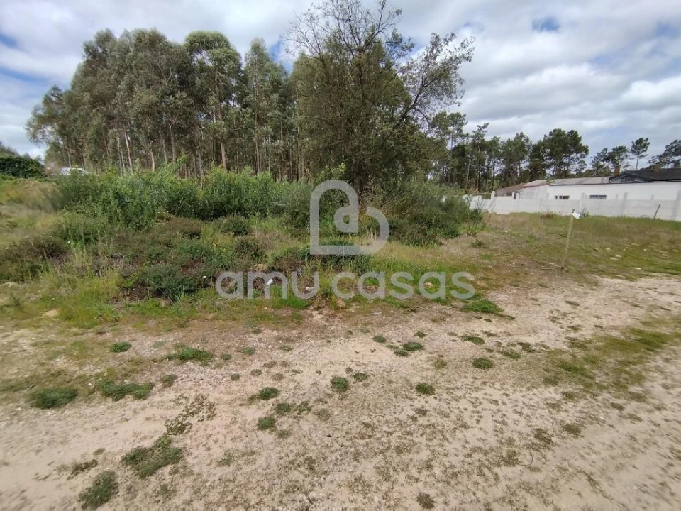 Terreno para Venda em Oliveira do Bairro Foto 4