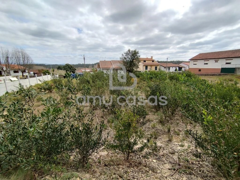 Terreno para Venda em Oliveira do Bairro Foto 6