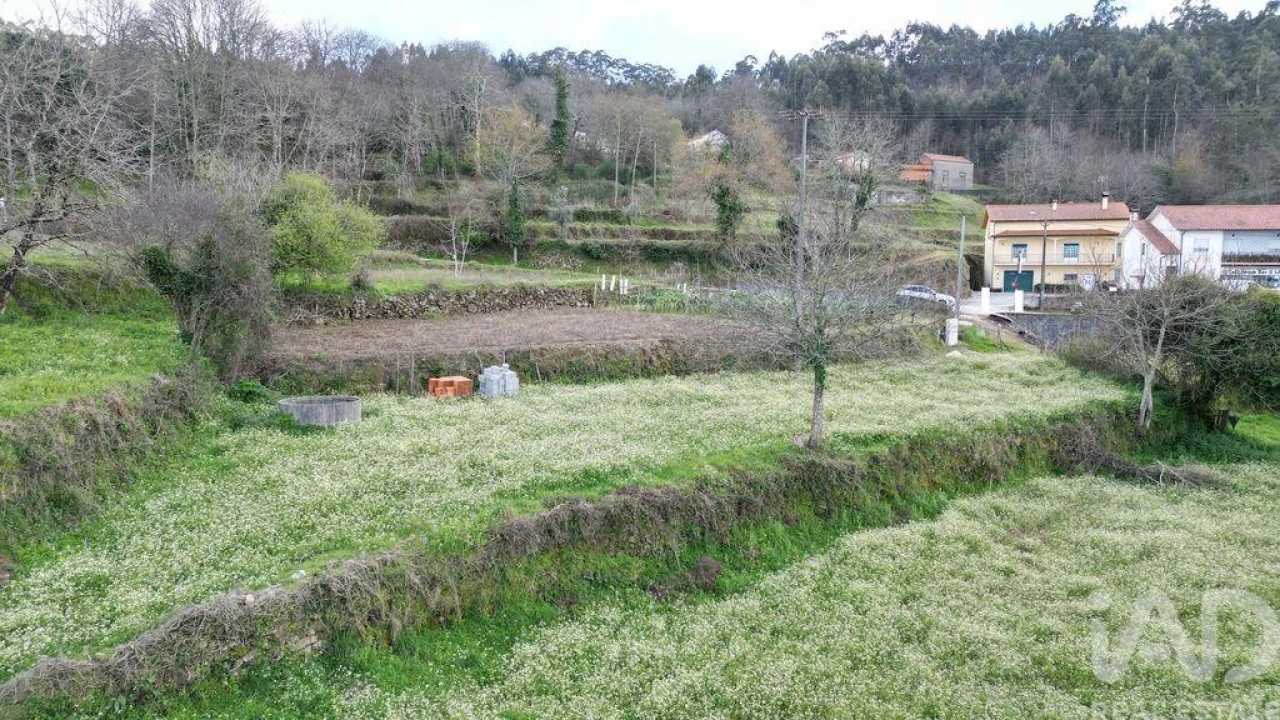 Terreno para Venda em Espinhal Foto 19
