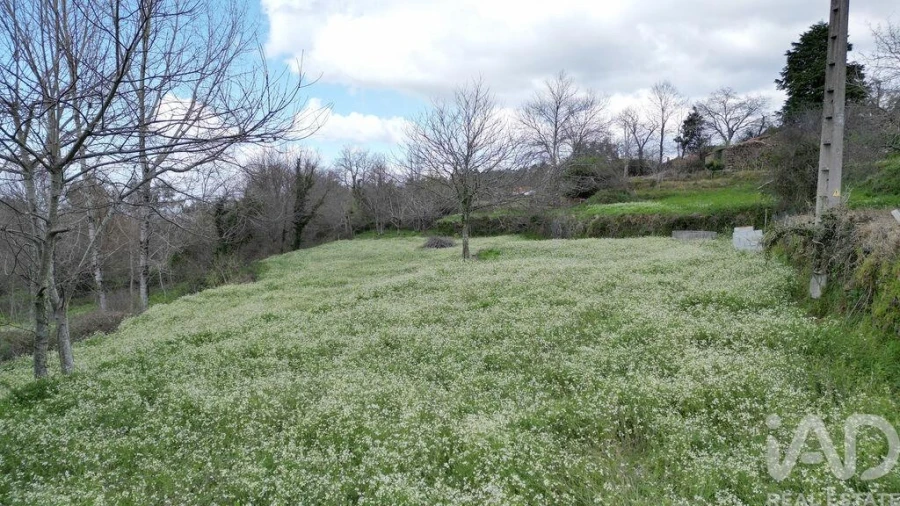 Terreno para Venda em Espinhal Foto 17