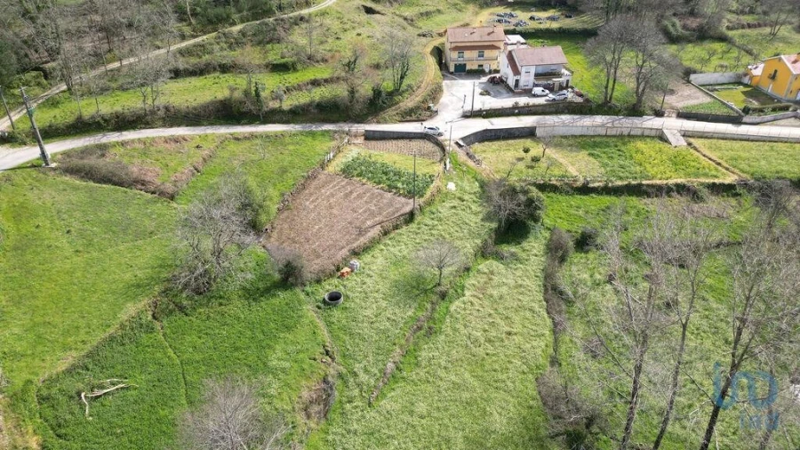 Terreno para Venda em Espinhal Foto 8