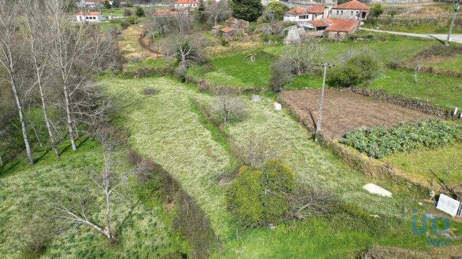 Terreno para Venda em Espinhal Foto 4