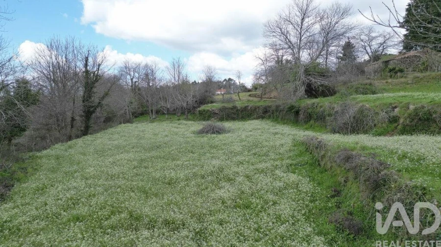 Terreno para Venda em Espinhal Foto 18