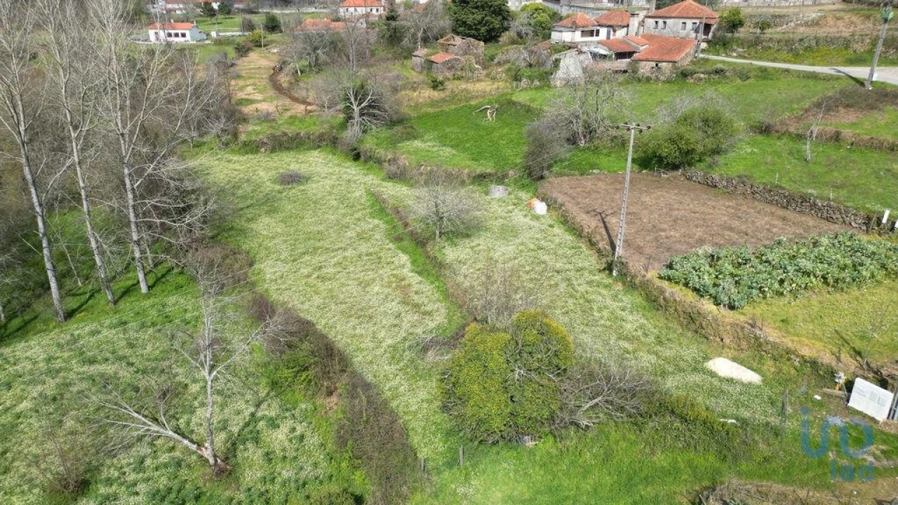 Terreno para Venda em Espinhal Foto 4