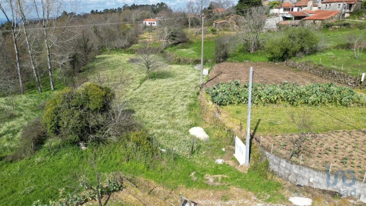 Terreno para Venda em Espinhal Foto 2